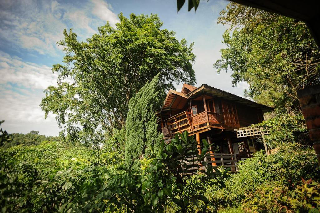 Willa Malihom Private Estate Balik Pulau Zewnętrze zdjęcie